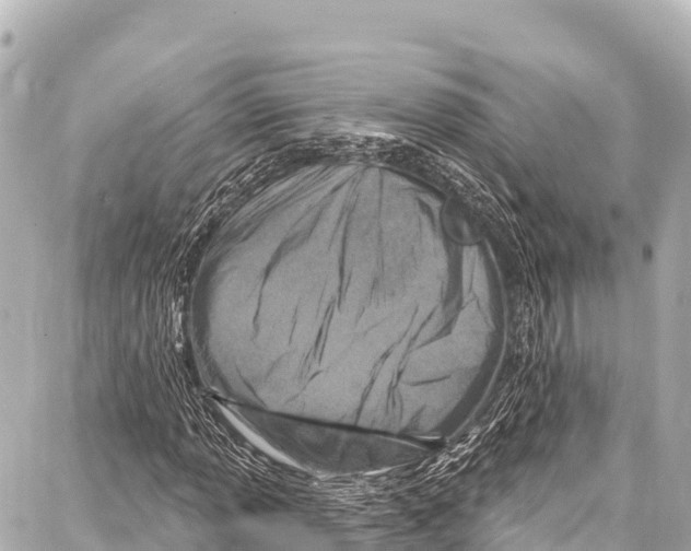 X0000086881013200705141405