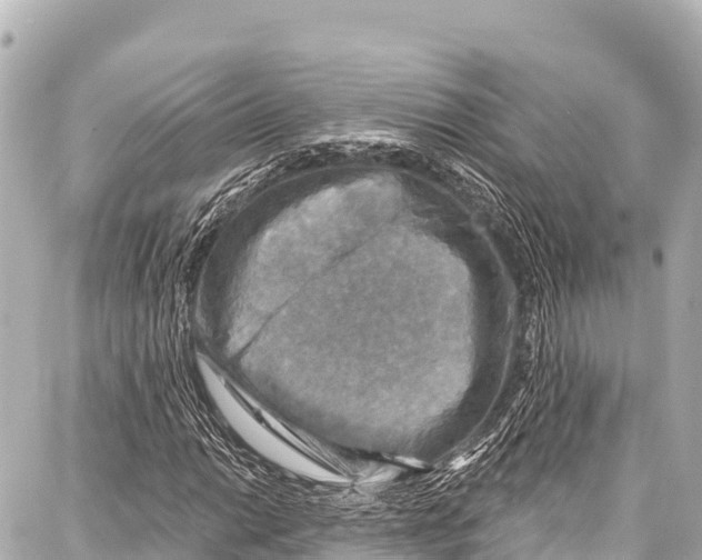 X0000086881014200705141405