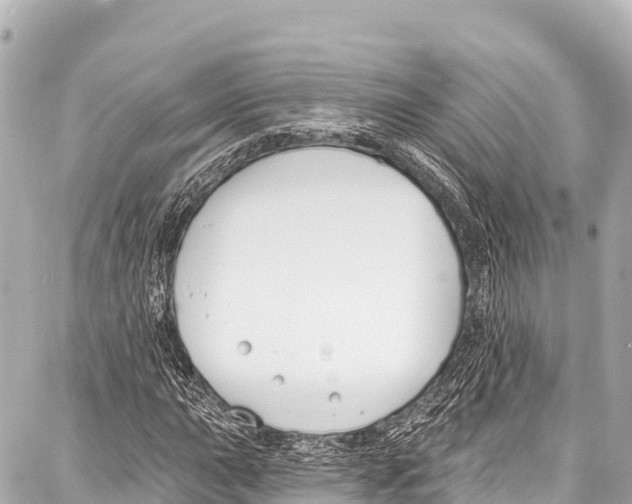 X0000086881015200705141405