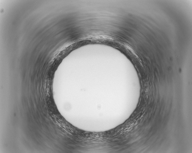 X0000086881016200705141405