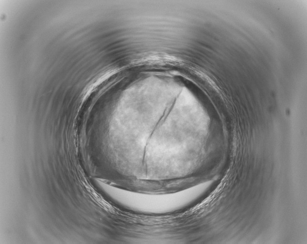 X0000086881018200705141405