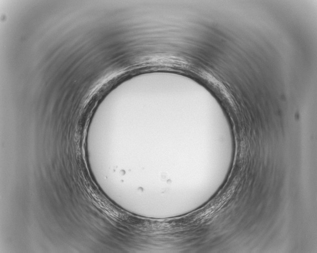 X0000086881019200705141405