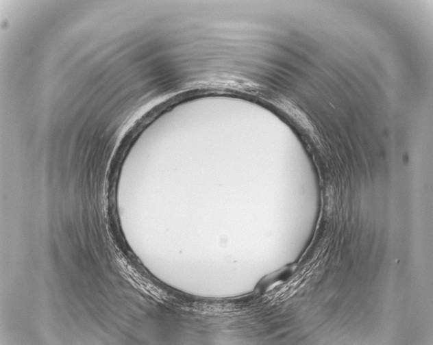 X0000086881020200705141405