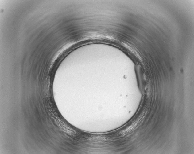 X0000086881021200705141405