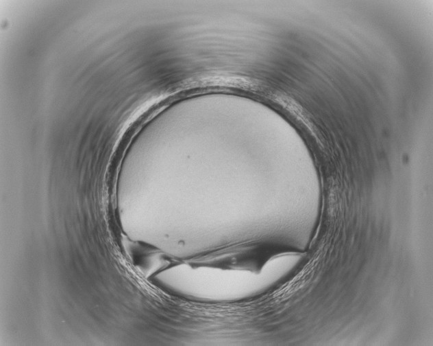 X0000086881024200705141405