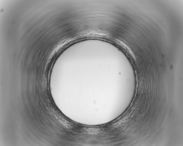 X0000086881027200705141405