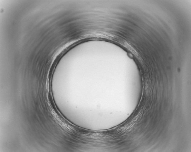 X0000086881028200705141405