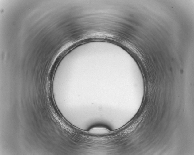 X0000086881029200705141405