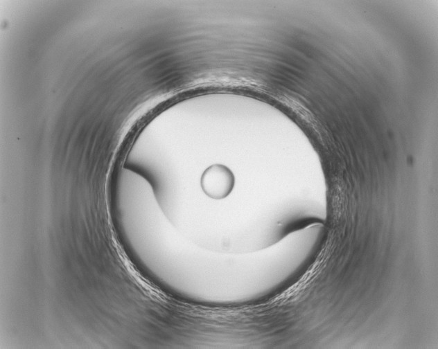 X0000086881030200705141405