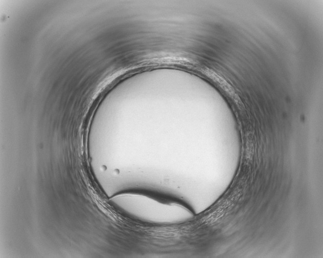 X0000086881031200705141405