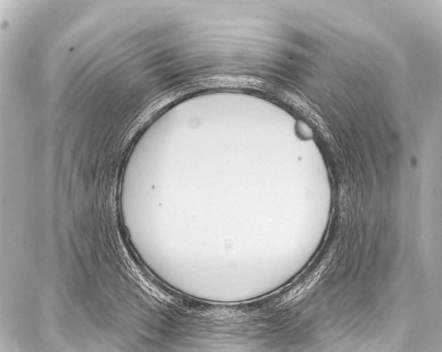 X0000086881033200705141405