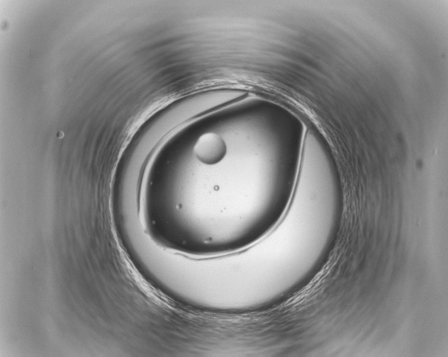 X0000086881034200705141405