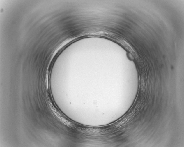 X0000086881036200705141405