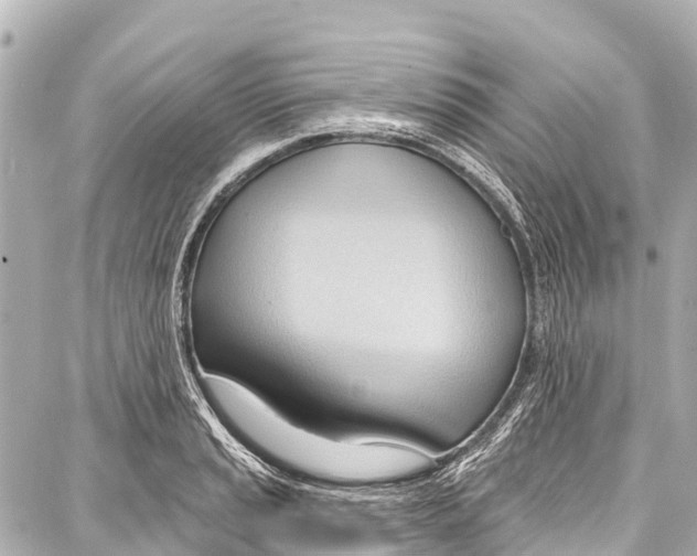 X0000086881037200705141405