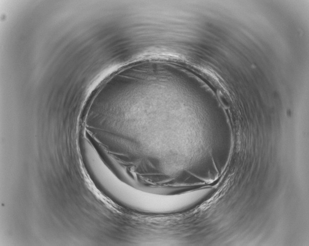 X0000086881038200705141405