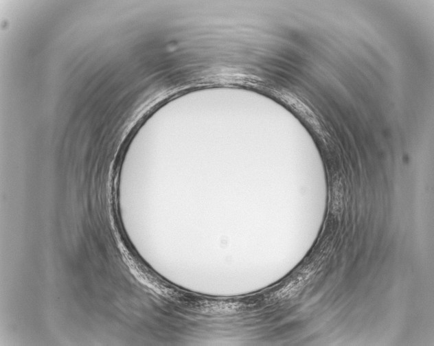 X0000086881039200705141405