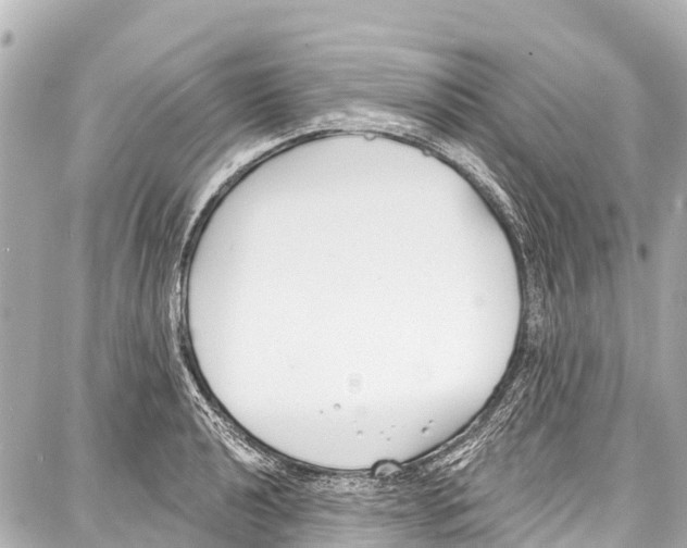 X0000086881040200705141405