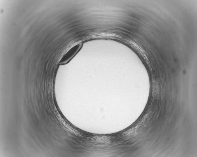 X0000086881041200705141405