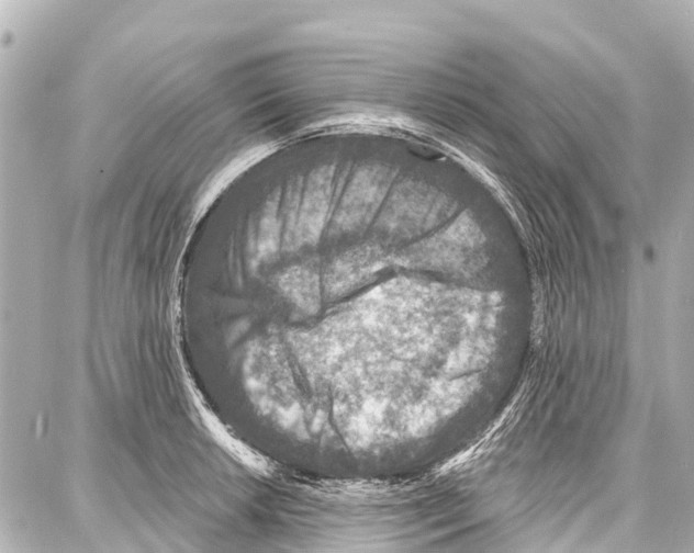 X0000086881042200705141405