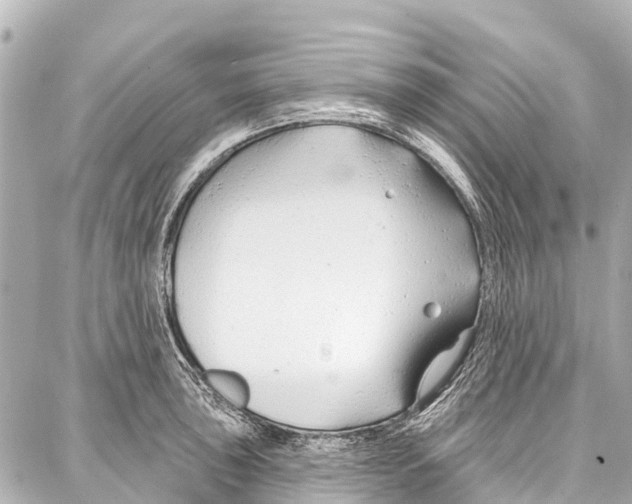 X0000086881043200705141405