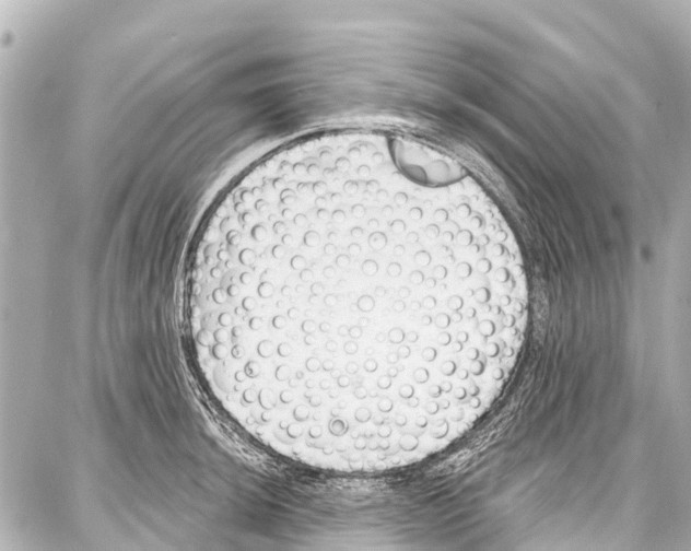 X0000086881044200705141405