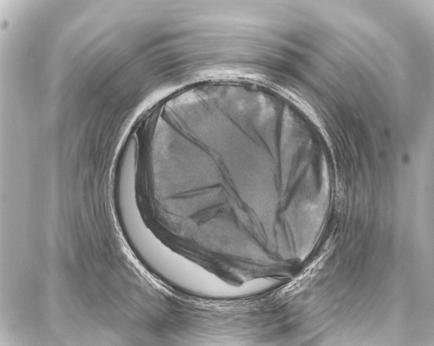 X0000086881045200705141405