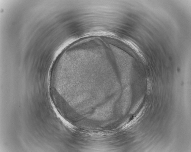 X0000086881046200705141405