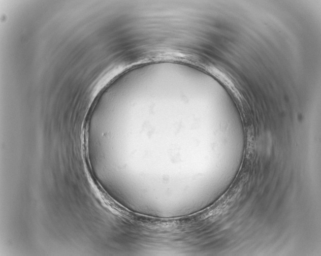 X0000086881047200705141405