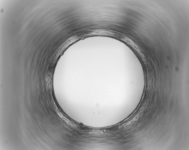 X0000086881049200705141405