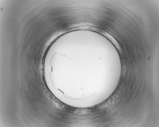 X0000086881051200705141405