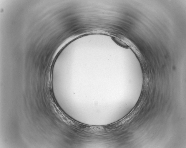 X0000086881052200705141405