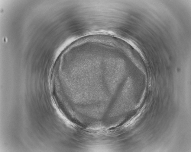 X0000086881054200705141405