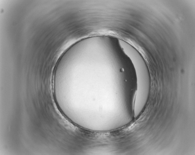 X0000086881055200705141405