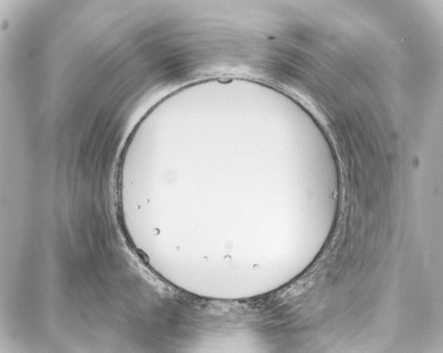 X0000086881056200705141405