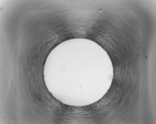 X0000086881057200705141405