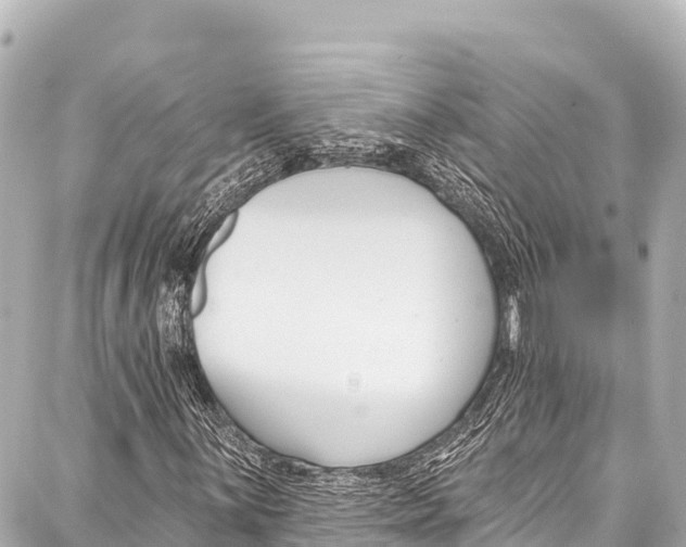 X0000086881059200705141405