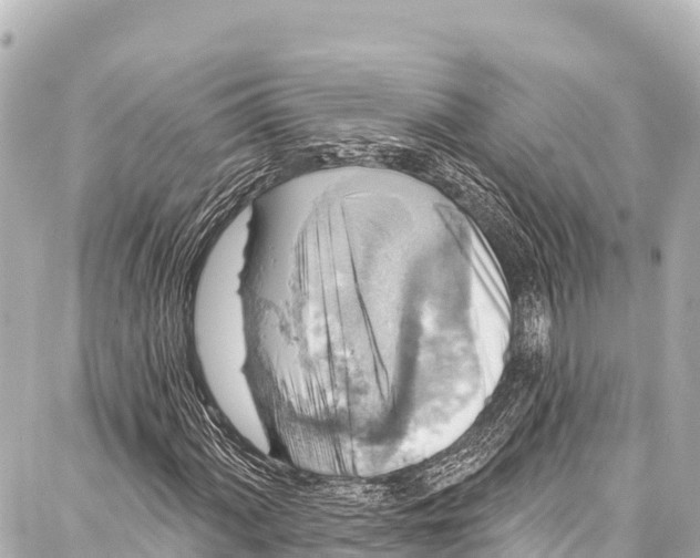 X0000086881060200705141405