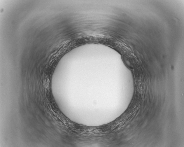 X0000086881061200705141405