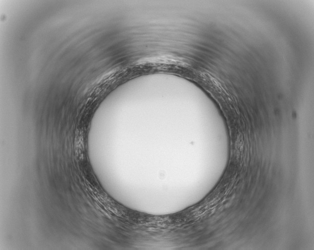 X0000086881062200705141405