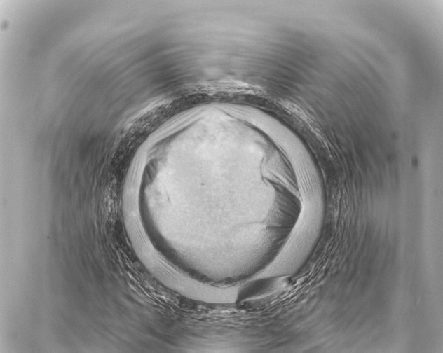 X0000086881063200705141405