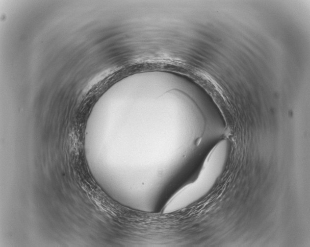 X0000086881064200705141404