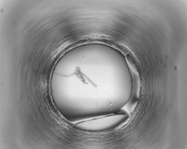 X0000086881065200705141404