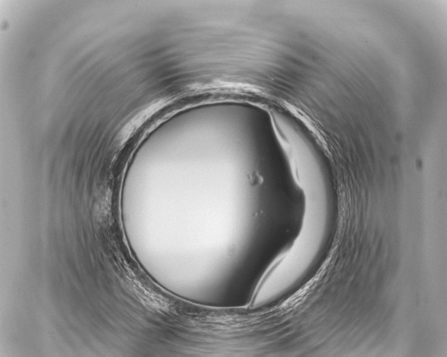 X0000086881066200705141404