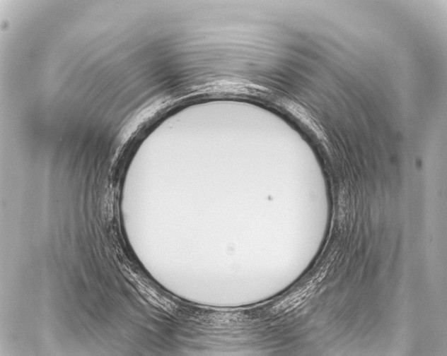 X0000086881067200705141404