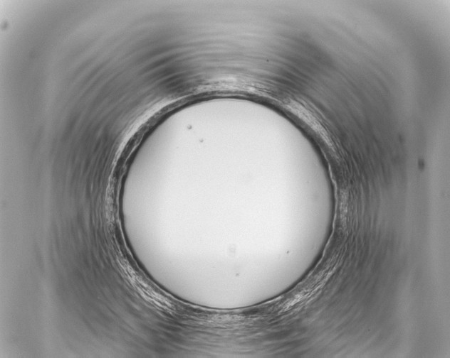 X0000086881068200705141404