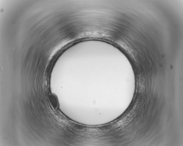 X0000086881070200705141404