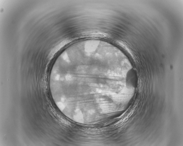 X0000086881071200705141404