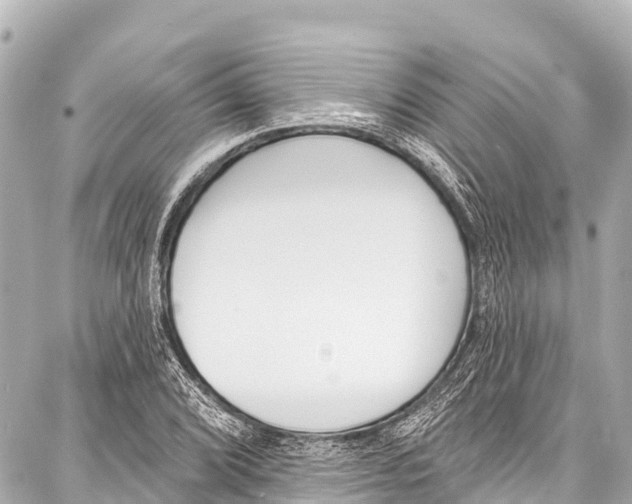 X0000086881072200705141404