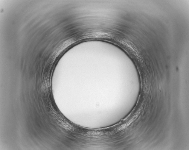 X0000086881073200705141404