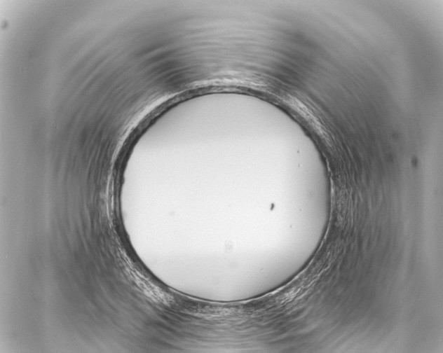 X0000086881076200705141404